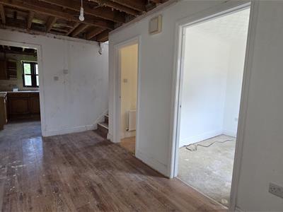 Picture 11